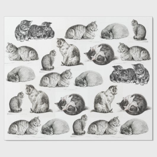 Vintages Katzenmuster-Muster Geschenkpapier (Flach)