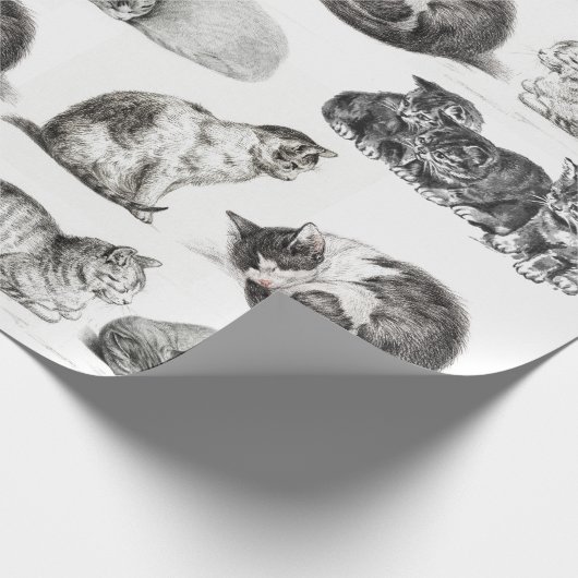 Vintages Katzenmuster-Muster Geschenkpapier (Ecke)