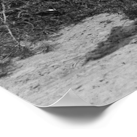 Vintages Kind und Pinto Pony Poster (Ecke)