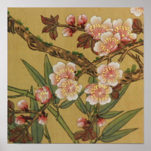 Vintages Kirschblühen asiatische japanische Blume Poster