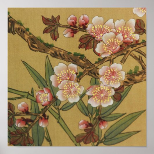 Vintages Kirschblühen asiatische japanische Blume Poster (Vorne)