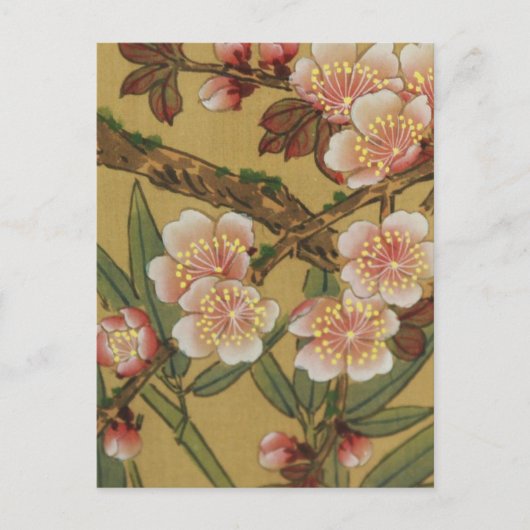 Vintages Kirschblühen asiatische japanische Blume Postkarte (Vorderseite)