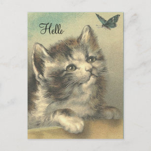 Vintages Kitten beim Butterfly - Postkarte