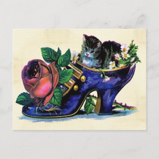 Vintages Kitten in Lady's Shoe Postcard Postkarte (Vorderseite)