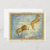 Vintages Konstellationsleo Postkarte (Vorne/Hinten)