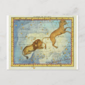 Vintages Konstellationsleo Postkarte (Vorderseite)