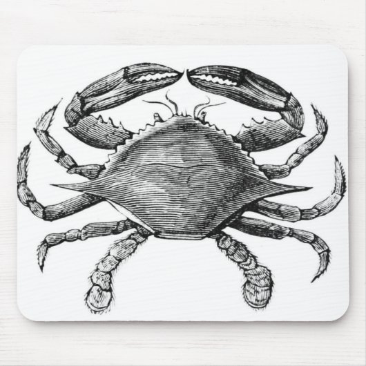 Vintages Krabben-Zeichnen Mousepad (Vorne)