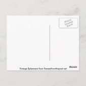 Vintages Kratetikett für Thurberbirnen Postkarte (Rückseite)