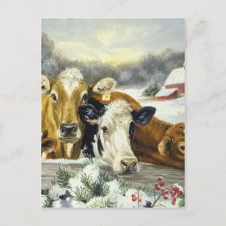 Vintages Kuhbild Postkarte