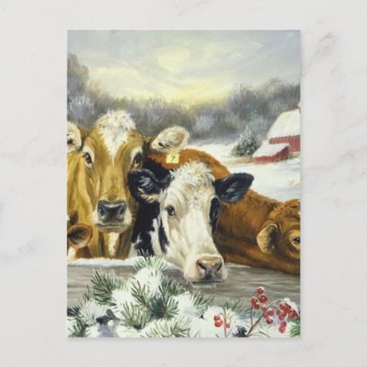 Vintages Kuhbild Postkarte (Vorderseite)