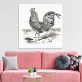 Vintages Kulm Fowl Rooster Chicken - Hühner Hennen Leinwanddruck (Insitu (Wohnzimmer))