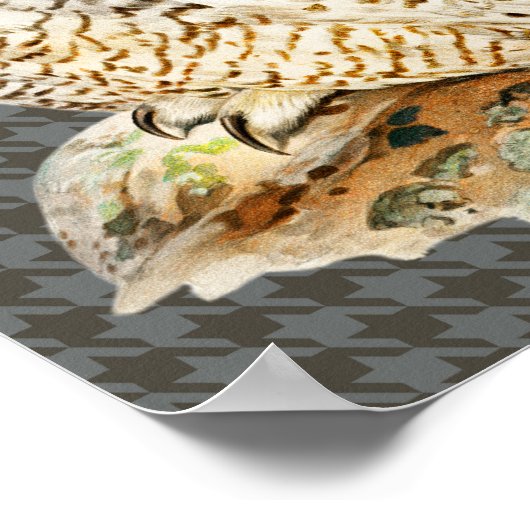 Vintages Kunstposter "White Owl" Poster (Ecke)