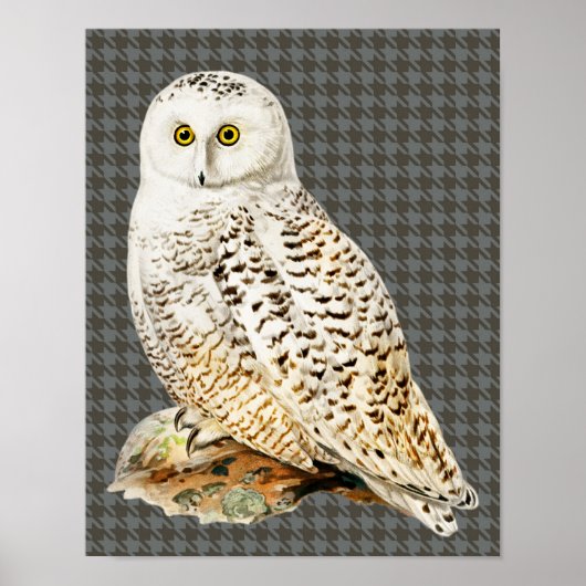 Vintages Kunstposter "White Owl" Poster (Vorne)