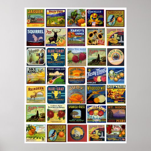 Vintages Label-Patchwork Poster (Vorne)