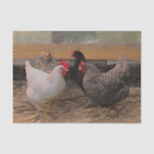 Vintages Land Barnyard Chicken