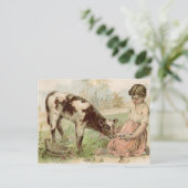 Vintages Landmädchen Fütternd Kalb Postkarte (Stehend Vorderseite)