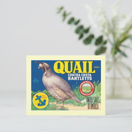 Vintages Lebensmittel Postkarte (Stehend Vorderseite)