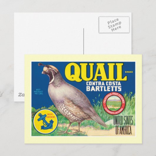 Vintages Lebensmittel Postkarte (Vorne/Hinten)