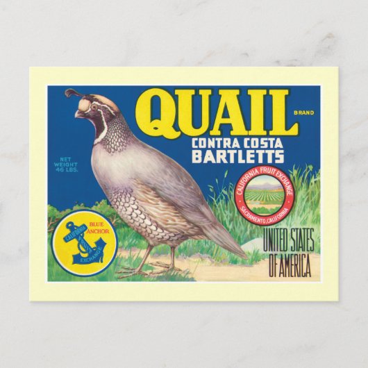 Vintages Lebensmittel Postkarte (Vorderseite)