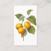 Vintages Lebensmittelobst, Apricot Peach von Redou Visitenkarte (Rückseite)