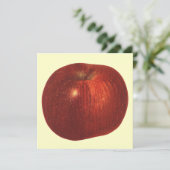 Vintages Lebensmittelobst, Bio, köstlicher Apfel (Stehend Vorderseite)