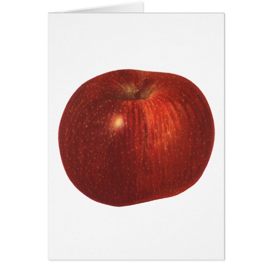 Vintages Lebensmittelobst, Bio, köstlicher Apfel (Vorne)