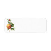 Vintages Lebensmittelobst, Granatapfel von Redoute (Vorne)