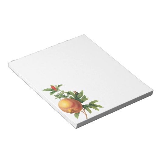 Vintages Lebensmittelobst, Granatapfel von Redoute Notizblock (angewinkelt)