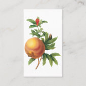 Vintages Lebensmittelobst, Granatapfel von Redoute Visitenkarte (Rückseite)