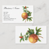 Vintages Lebensmittelobst, Granatapfel von Redoute Visitenkarte (Vorne/Hinten)