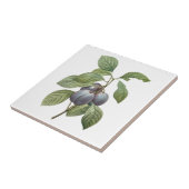 Vintages Lebensmittelobst, Lila Gartenpflanzen von Fliese (Seite)