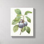 Vintages Lebensmittelobst, Lila Gartenpflanzen von Leinwanddruck (Vorderseite)