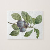 Vintages Lebensmittelobst, Lila Gartenpflanzen von Puzzle (Horizontal)