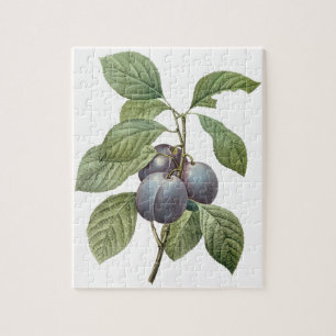 Vintages Lebensmittelobst, Lila Gartenpflanzen von Puzzle