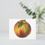 Vintages Lebensmittelobst, reife Bio Pfirsich mit Postkarte (Stehend Vorderseite)