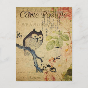 Vintages Little Owl Pink Roses Französisch Postkarte