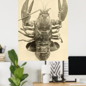 Vintages Maine-Hummer-Foto (1895) 2 Poster (Heimbüro)