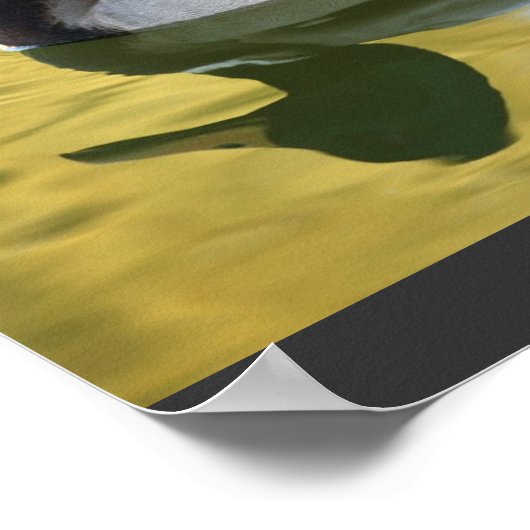 Vintages Mallard Duck Art Print Poster (Ecke)