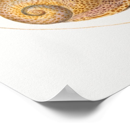 Vintages maritimes Illustrationspaket Poster (Ecke)