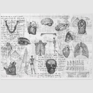 Vintages medizinisches Body Gothic B&W Gewebepapie Seidenpapier