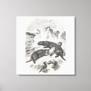 Vintages Meer Otters 1800 Otter Illustration Leinwanddruck