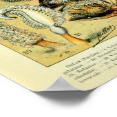 Vintages Meeresleben durch Adolphmühle Poster (Ecke)