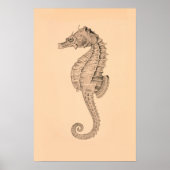 Vintages Meerpferd II Poster (Vorne)