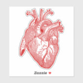 Vintages menschliches Anatomie Herz Aufkleber (Blatt)