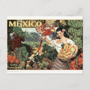 Vintages Mexico Poster Postkarte