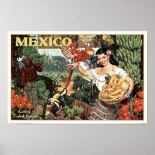 Vintages Mexiko-Land des tropischen Poster