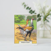 Vintages modernes Spielhähnchen Postkarte (Stehend Vorderseite)