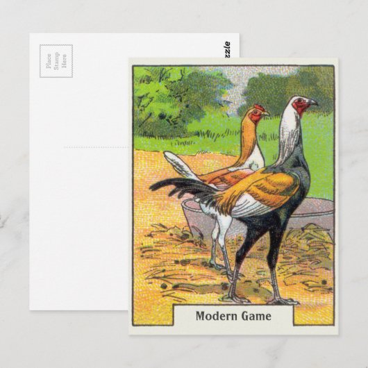 Vintages modernes Spielhähnchen Postkarte (Vorne/Hinten)