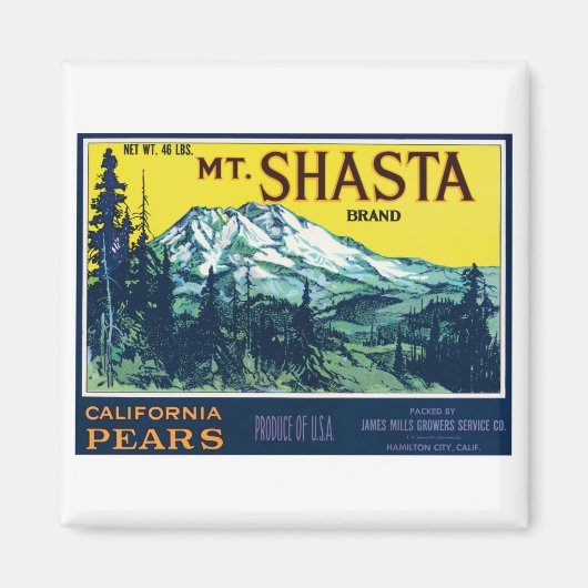 Vintages Mt Shasta California Birnensiegel Magnet (Vorne)