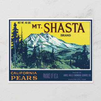 Vintages Mt Shasta California Birnensiegel Postkarte